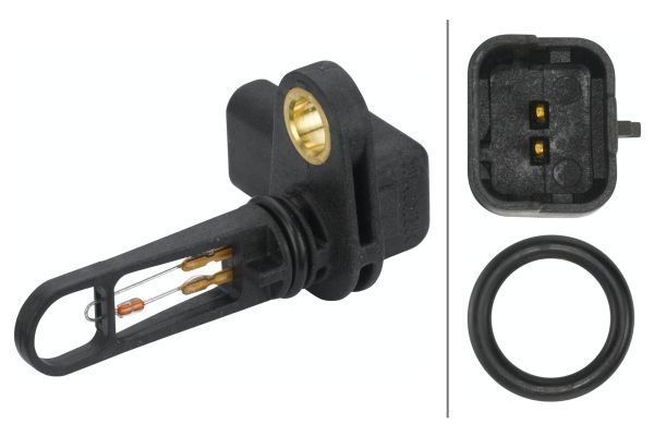 Ansaugluft Temperatur-Sensor