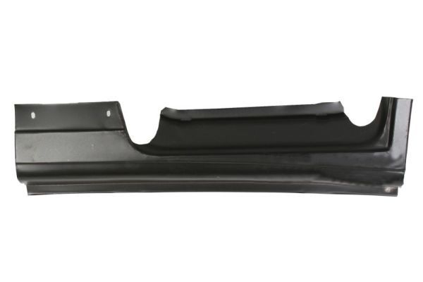 Einstiegsblech Schweller