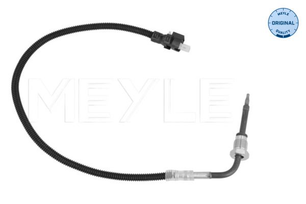 Sensor Abgastemperatur
