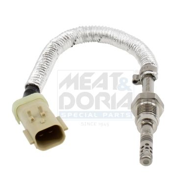 Sensor Abgastemperatur