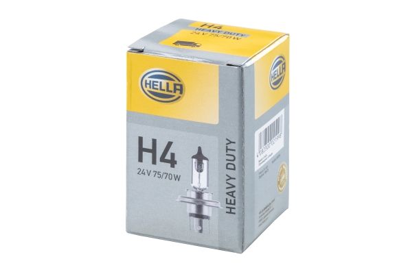Glühbirne H4
