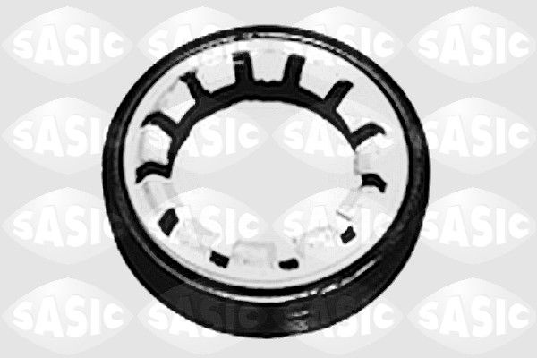 Wellen Dichtring Differential