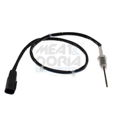 Sensor Abgastemperatur