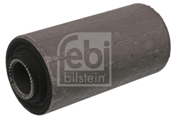 Federbuchs Blattfeder