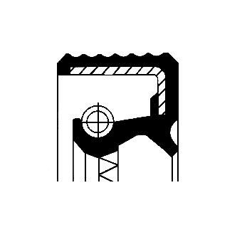 Wellen Dichtring Differential
