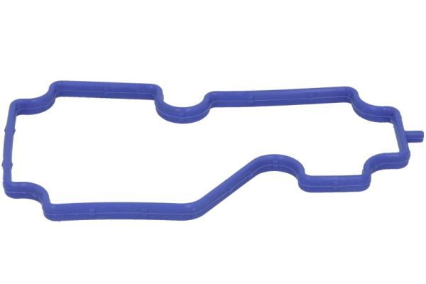 Dichtung Thermostatgehäuse