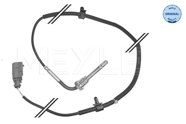 Sensor Abgastemperatur