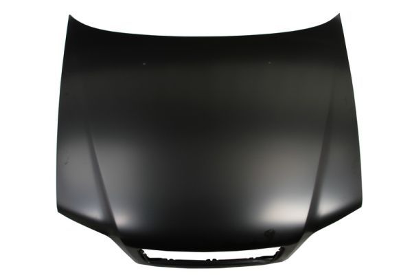 Motorhaube Haube