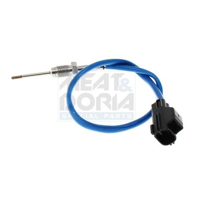 Sensor Abgastemperatur