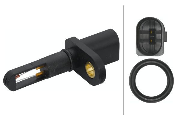 Sensor Ansauglufttemperatur