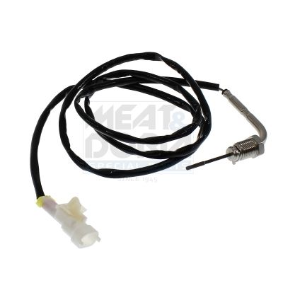 Sensor Abgastemperatur
