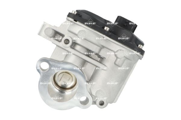 AGR Ventil Abgasrückführungsventil