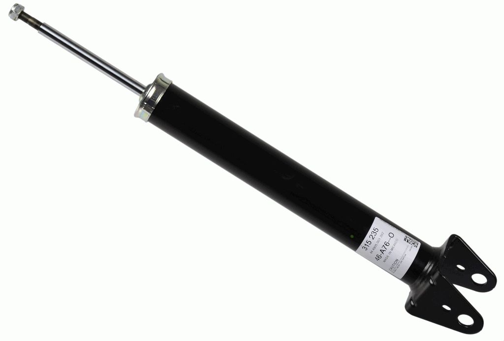 Stoßdämpfer Federbein