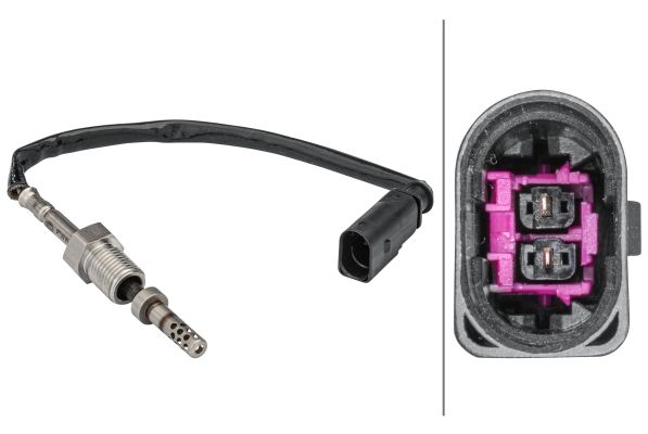 Sensor Abgastemperatur