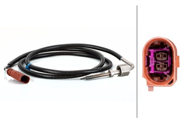 Sensor Abgastemperatur