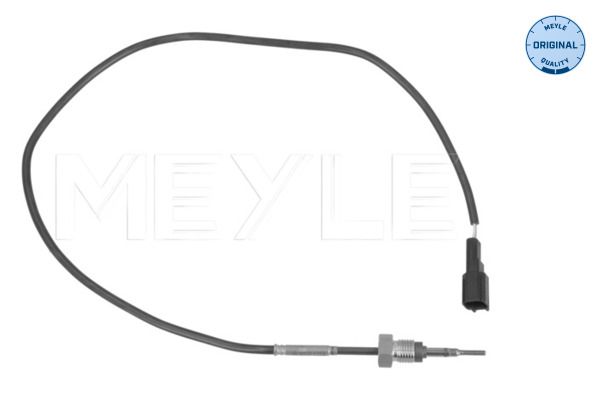 Sensor Abgastemperatur
