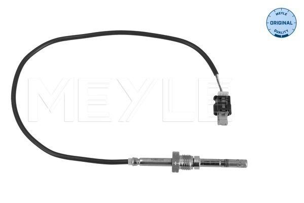Sensor Abgastemperatur
