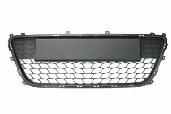 Stoßstange Gitter