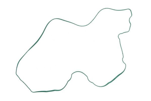 Dichtung Ventildeckel Zylinderkopfhaube