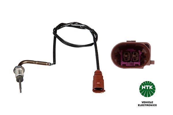 Sensor Abgastemperatur