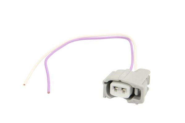 Stecker Einspritzventil