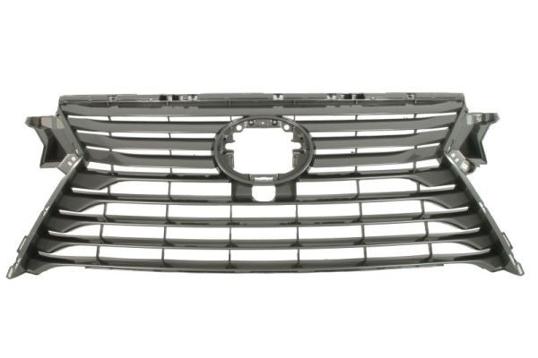 Kühlergrill Kühlergitter Frontgrill