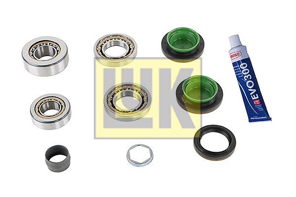 Reparatursatz Differential