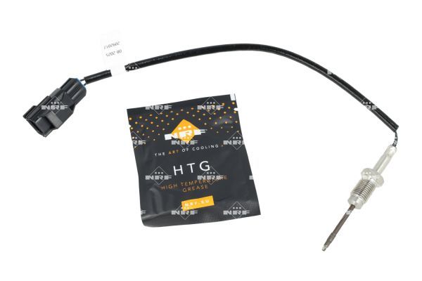 Sensor Abgastemperatur
