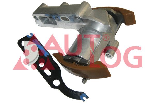 Spanner Steuerkette