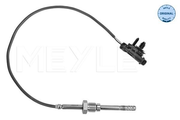 Sensor Abgastemperatur