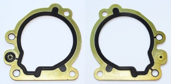 Dichtung Kraftstoffpumpe