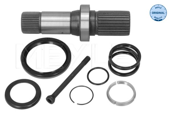 Steckwelle Differential