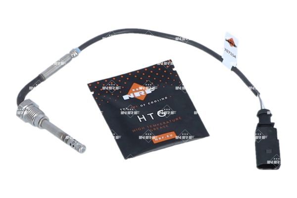 Sensor Abgastemperatur