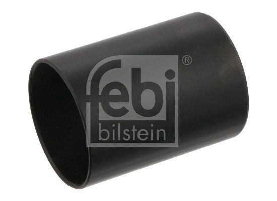 Federbuchs Blattfeder