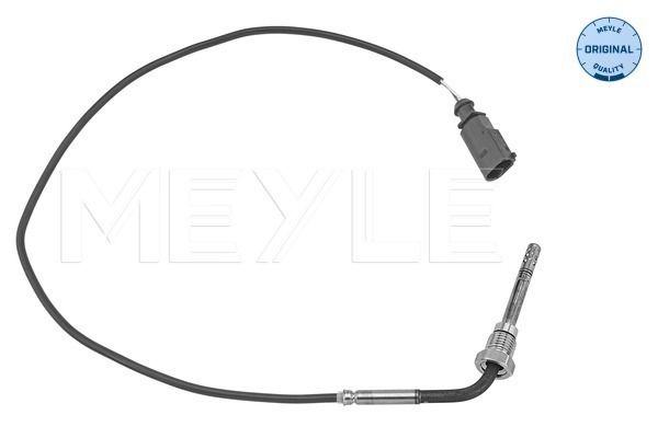 Sensor Abgastemperatur