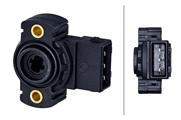 Sensor Drosselklappenstellung