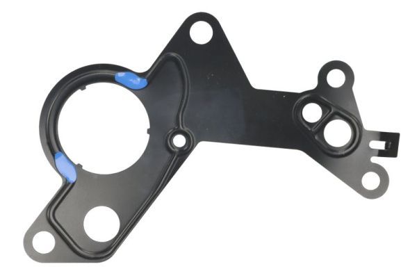 Dichtung Kraftstoffpumpe