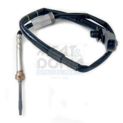 Sensor Abgastemperatur