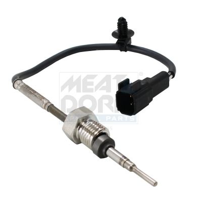 Sensor Abgastemperatur