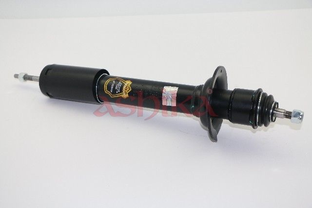Stoßdämpfer Federbein