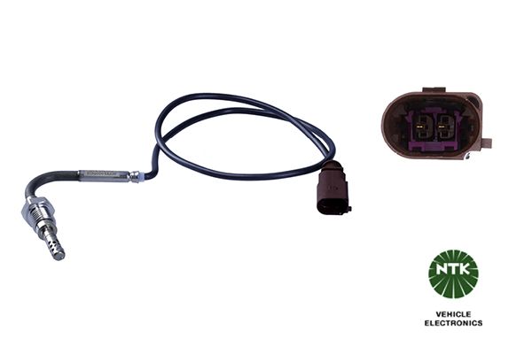Sensor Abgastemperatur