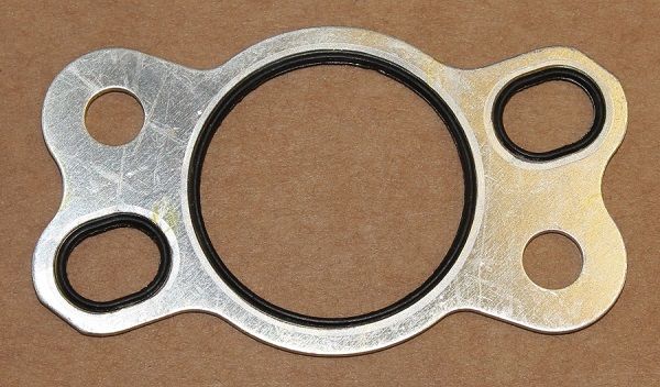 Dichtung Steuerkettenspanner