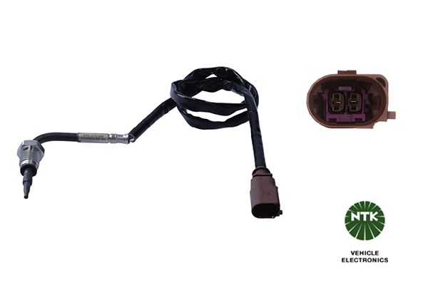 Sensor Abgastemperatur