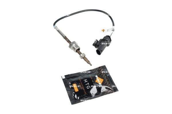 Sensor Abgastemperatur