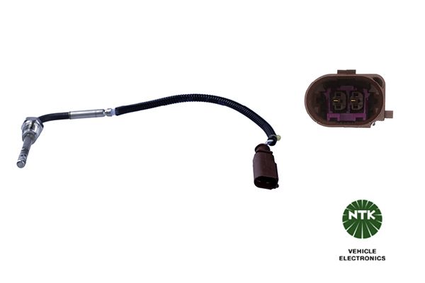 Sensor Abgastemperatur