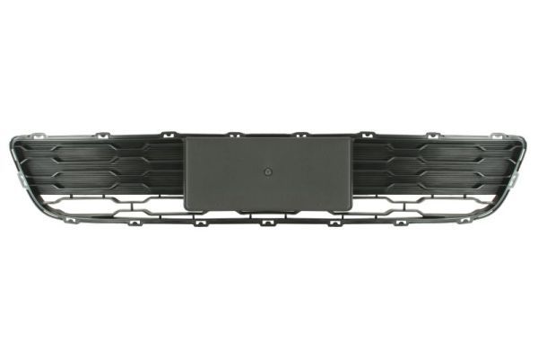 Stoßstange Gitter