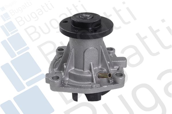 Wasserpumpe
