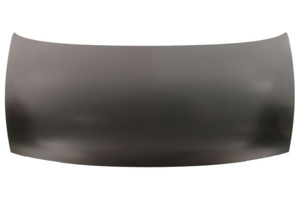 Motorhaube Haube