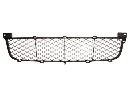 Stoßstange Gitter