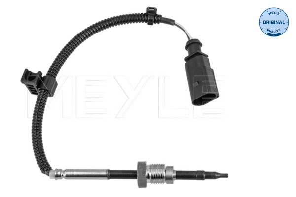 Sensor Abgastemperatur